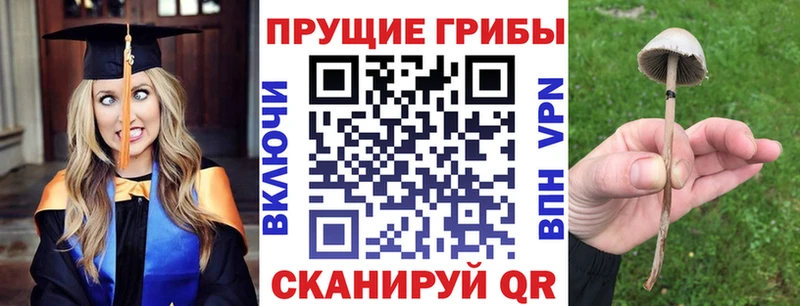 Псилоцибиновые грибы MAGIC MUSHROOMS  Ядрин 