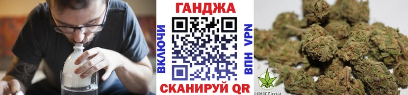 MEGA ссылки  Ядрин  Бошки марихуана план  продажа наркотиков 